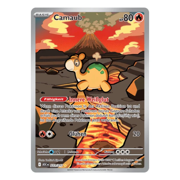 Camaub IR 223/217 Pokemon Erhabene Helden