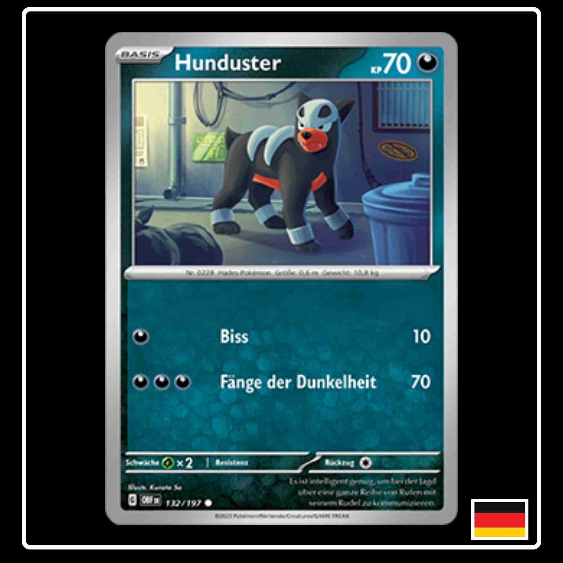 Pokemon Karte Hunduster