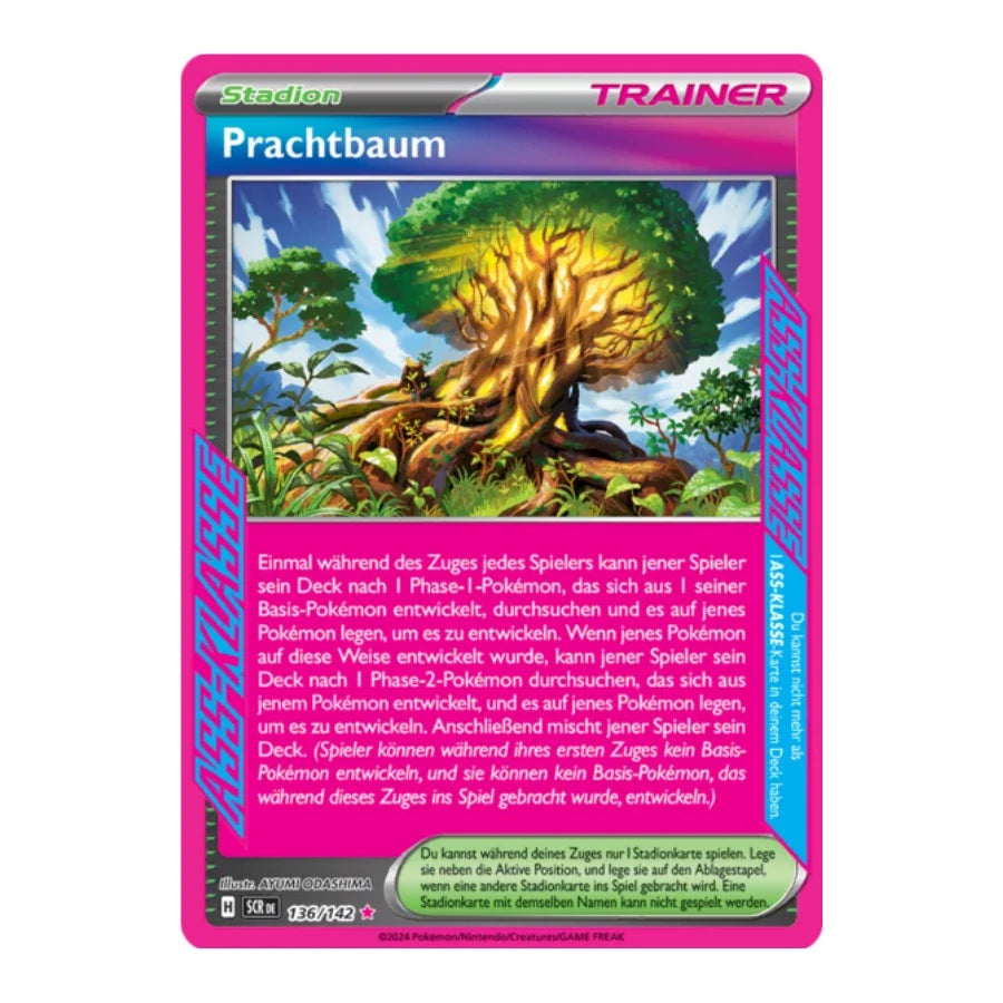 Prachtbaum ASS 136/142 Stellarkrone